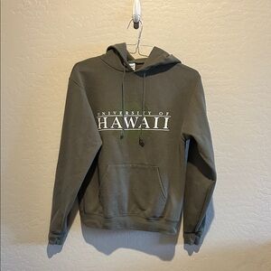 Champion Olive University of Hawaii Hoodie